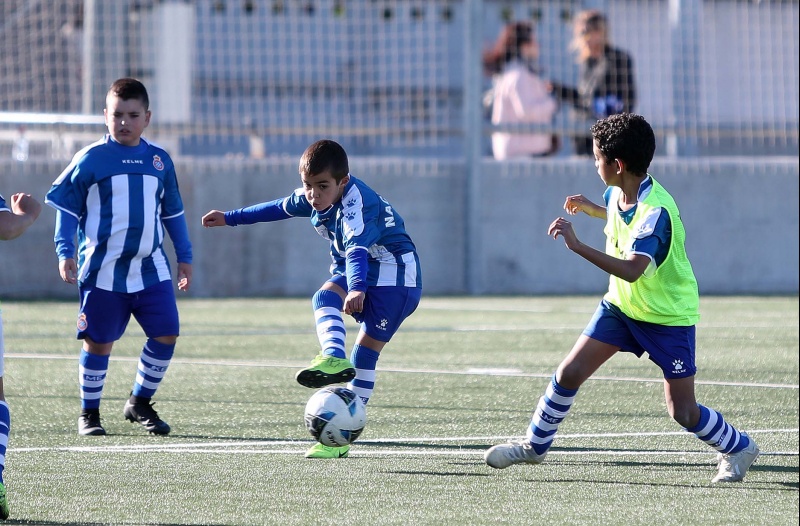 Suspès el Campus RCDE d’estiu