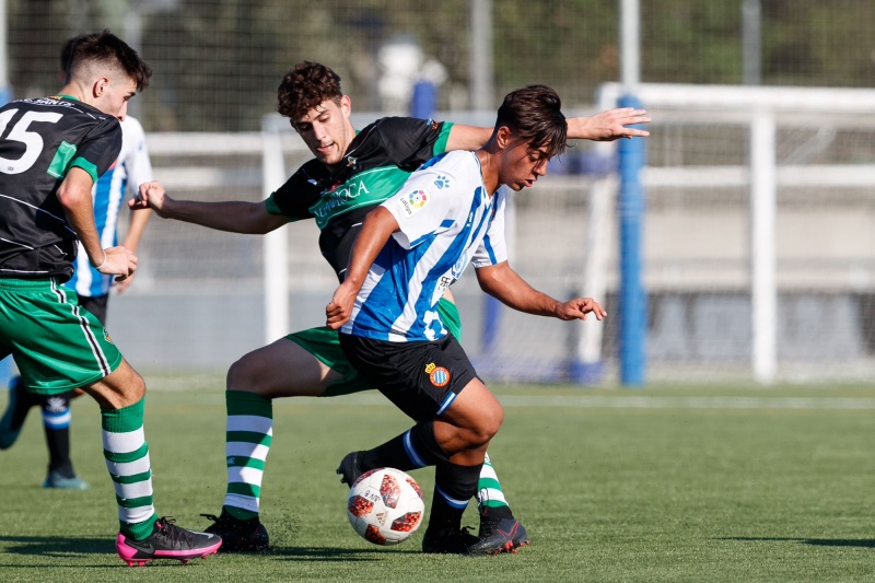 1-3: Remuntada d'orgull perico