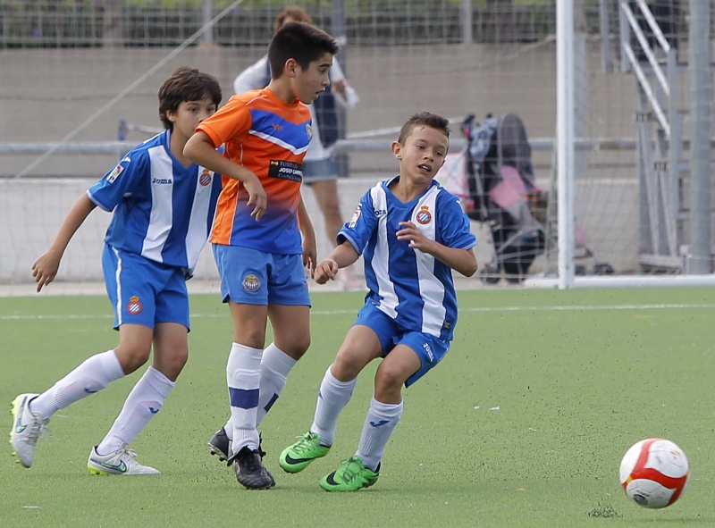 Resultats del futbol base i femení