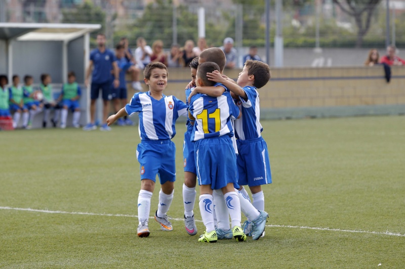 Resultats del futbol base i femení