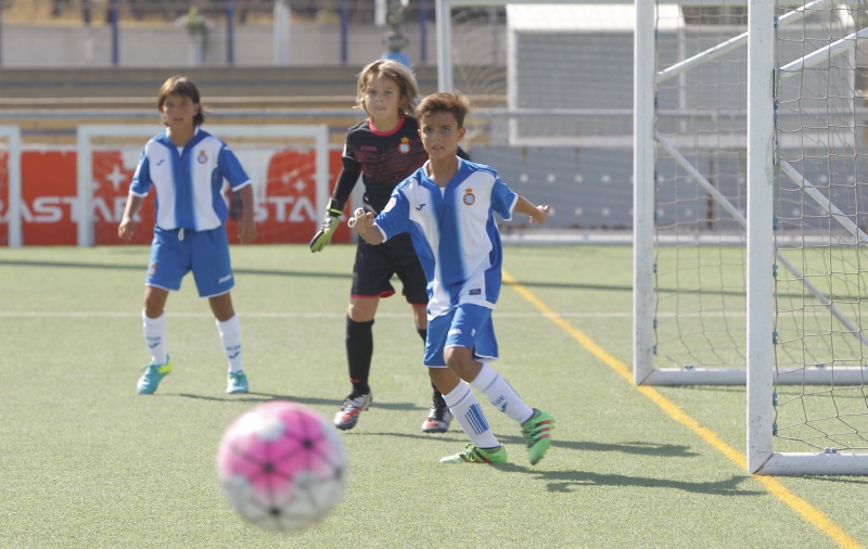 Resultats del futbol base i femení