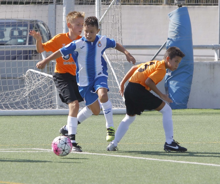 Resultats del futbol base i femení