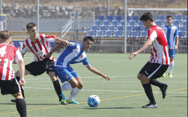 Horaris del futbol base i femení