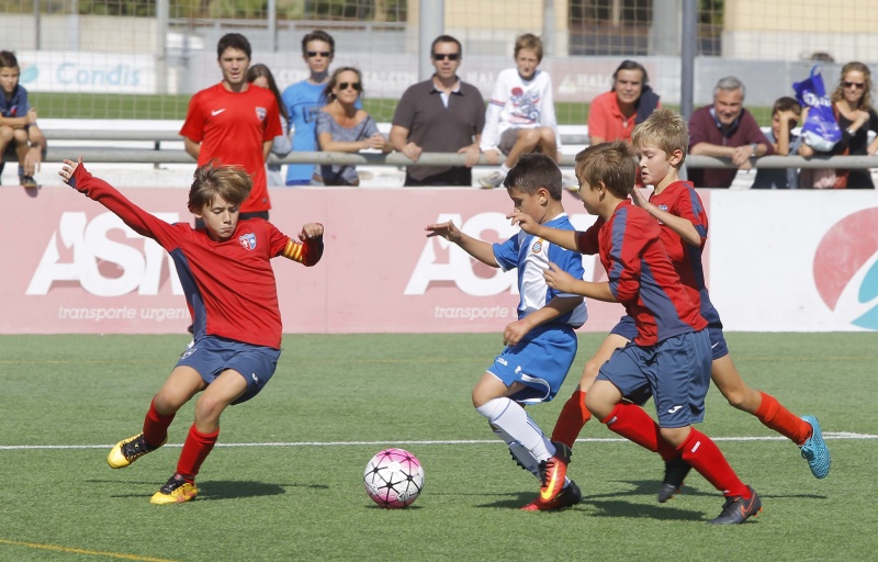 Resultats del futbol base i femení