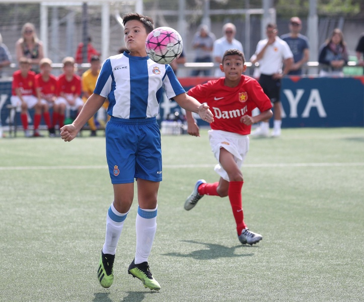 Horaris del futbol base i femení