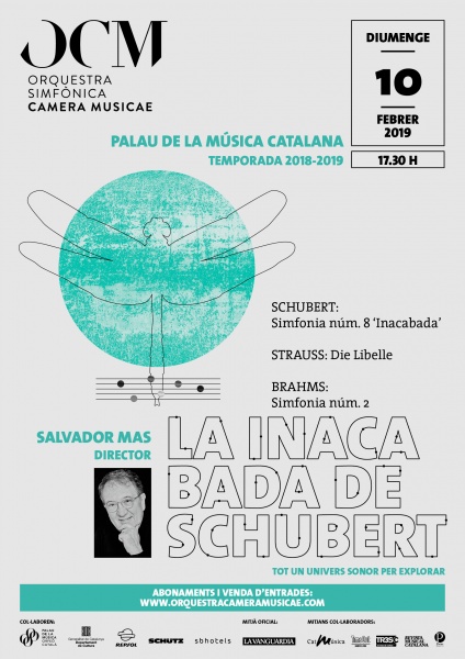 La Inacabada de Schubert + Brahms 2 al Palau de la Música a 25% pels socis del RCDE