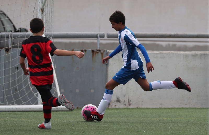 Resultats del futbol base i femení